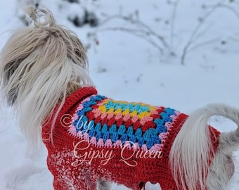 May include: A small, white dog wearing a red crocheted sweater with a colourful rainbow granny square design. The sweater has a zipper on the back and the text "by Gipsy Queen" is visible on the front. The dog is standing in the snow.