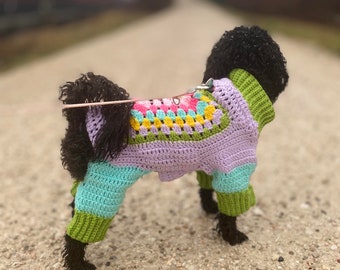 Crochet pattern dog sweater Rosi (language in German & English) PDF format