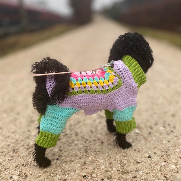 Crochet pattern dog sweater Rosi (language in German & English) PDF format