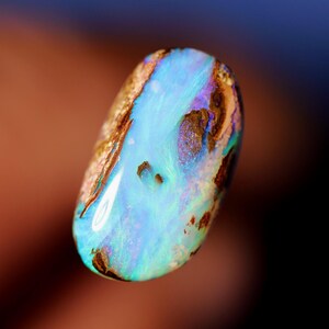 Può includere: Una gemma di opale ovale e lucidata. L'opale mostra un vibrante gioco di colori con sfumature di blu, verde e viola, contrastate da aree marroni e dorate. Lo sfondo è sfocato.