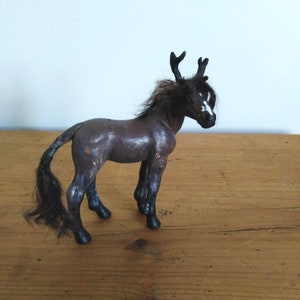 Deep brown foal kirin