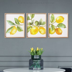 Zitronen Wand Kunst 3er Set - Druckbare Zitrus Küchen Dekoration, botanische Obst Drucke für Bauernhaus, Sommer oder mediterranen Stil