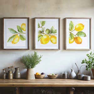 Lemon Wall Art Set of 3 – Printable Citrus Kitchen Decor, Fruit Botanical Prints for Summer, Fresh Yellow Digital Download