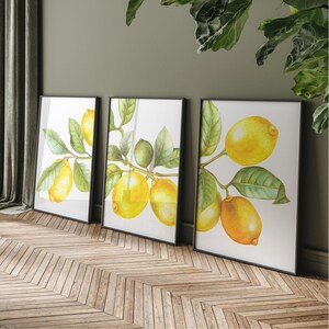 Lemon branch prints set of 3 watercolor wood frames row dining room art