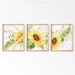 Sunflower Print Set of 3, Farmhouse Wall Decor, Sunflower Decor, Watercolor Sunflower Art, Sunflower Painting, Kitchen Wall Decor 