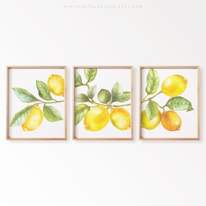 Watercolor lemon botanical print set citrus kitchen decor instant download