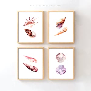 Seashell Wall Art Set of 4 – Coastal Printable Decor, Beach Bathroom Prints, Shell Wall Hanging for Beach House Style