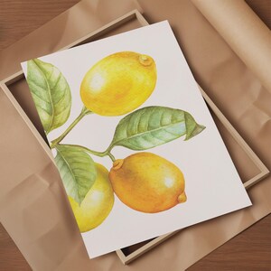 Watercolor lemon branch detail yellow lemons green leaves botanical print
