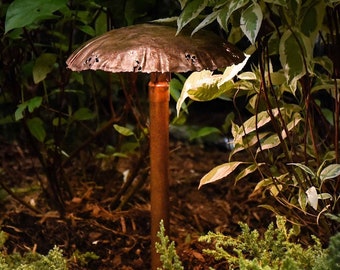 Copper LED Landscape Lights with One Large Mushroom Cap