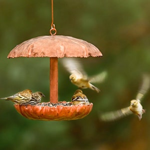 Pure Copper Bird Feeder image 2