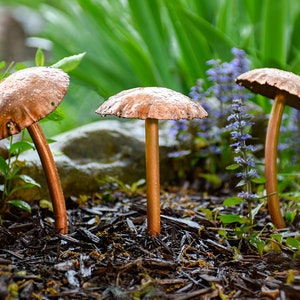 Copper Mushroom Sculpture Trio