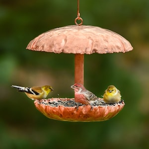 Pure Copper Bird Feeder image 1