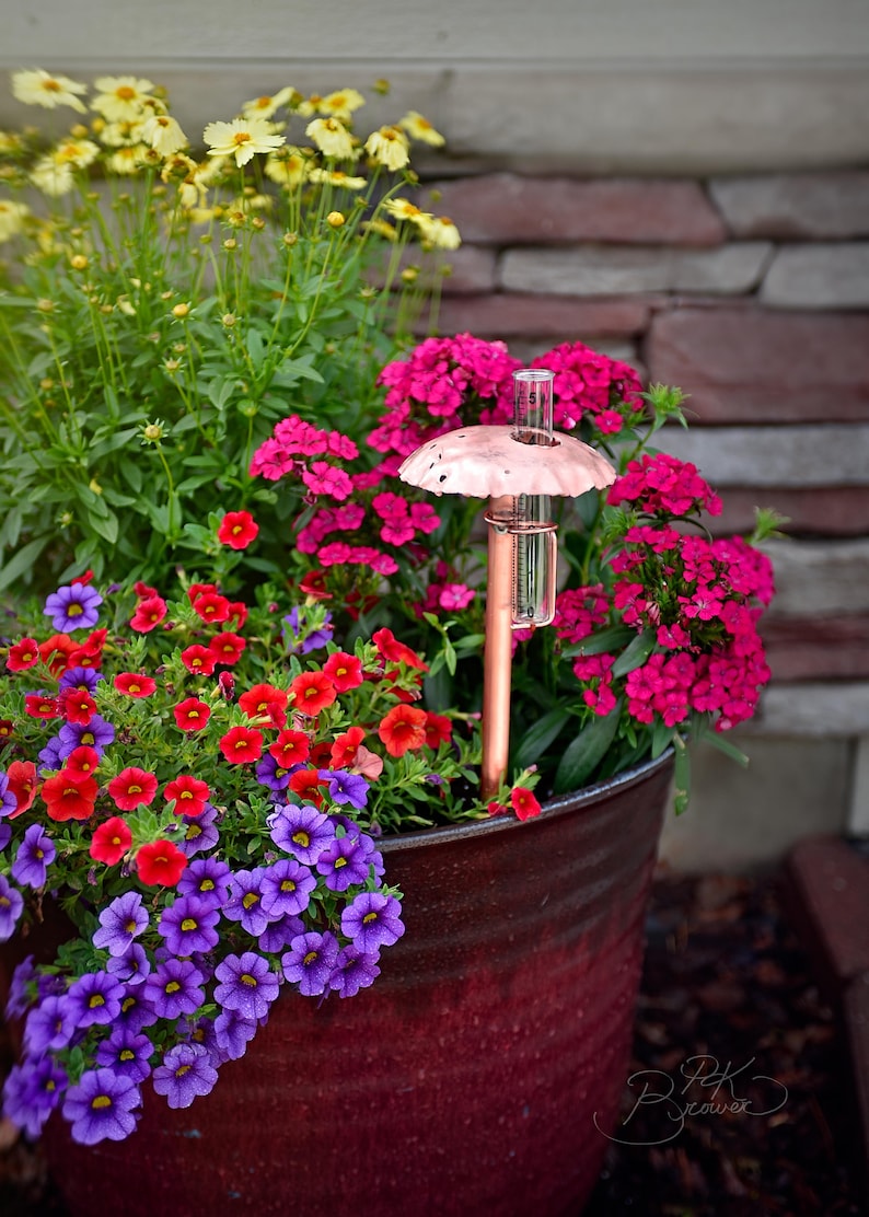 Rain gauge with one single glass tube option.