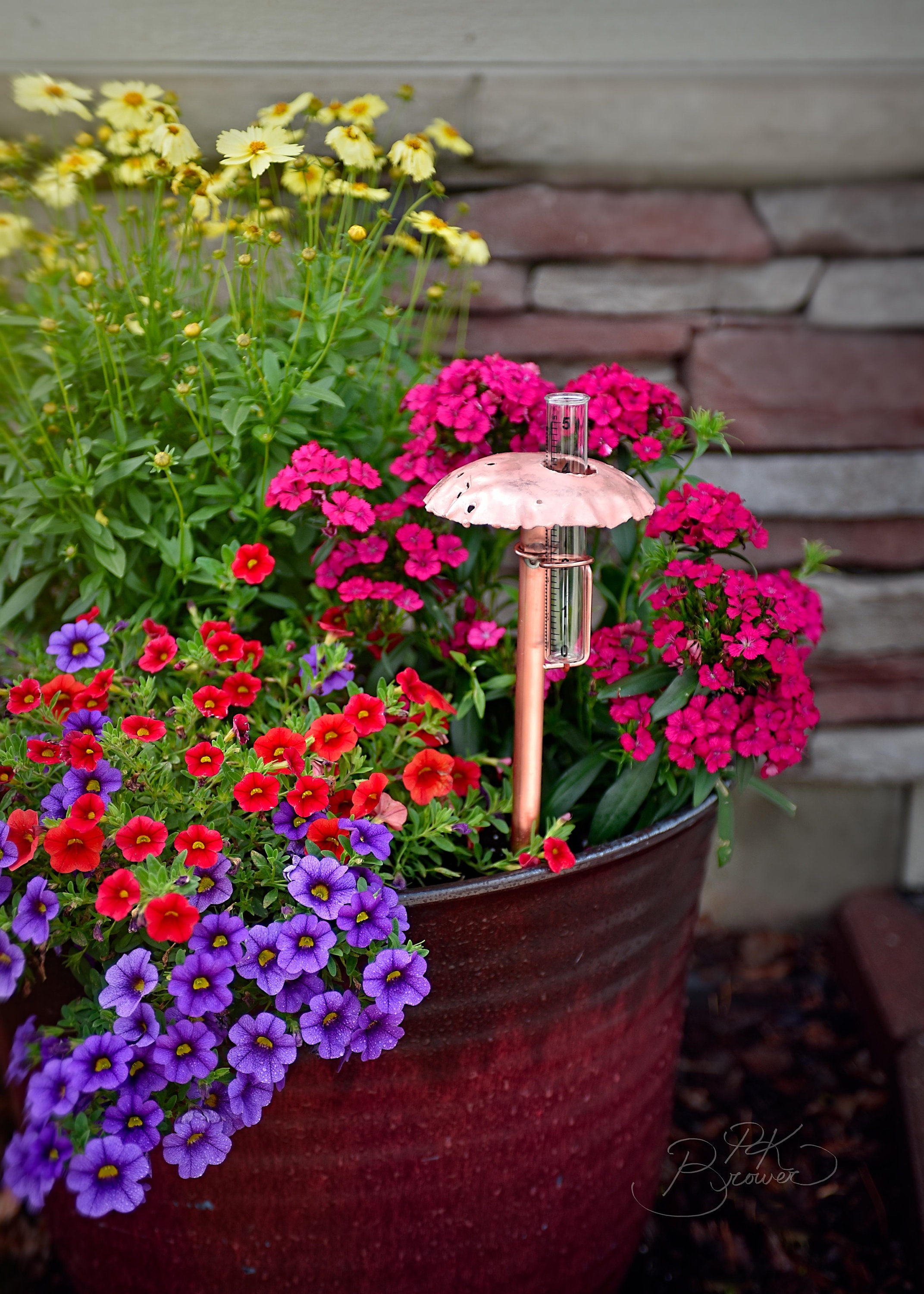 Copper Mushroom Rain Gauge