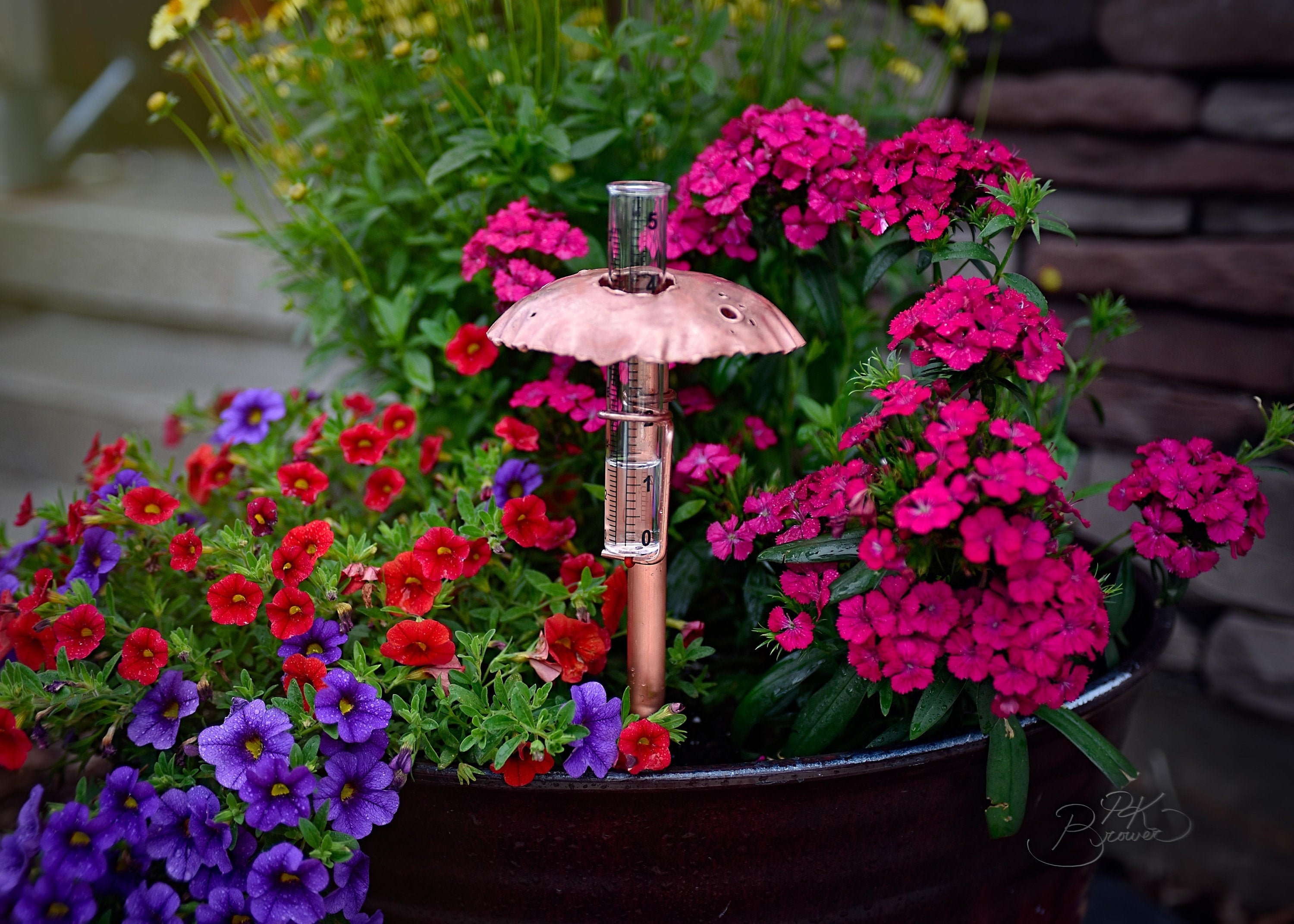 Copper Mushroom Rain Gauge
