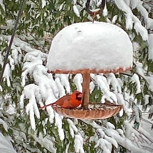 Pure Copper Bird Feeder image 6