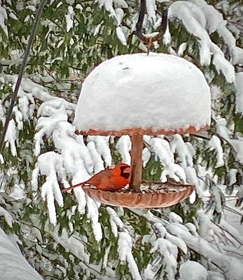 Pure Copper Bird Feeder image 6