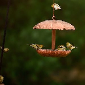 Pure Copper Bird Feeder image 3