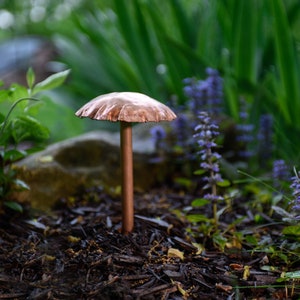 Copper Mushroom Sculpture Trio image 5