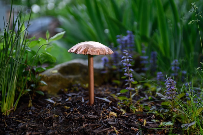 Copper Mushroom Sculpture Trio image 5