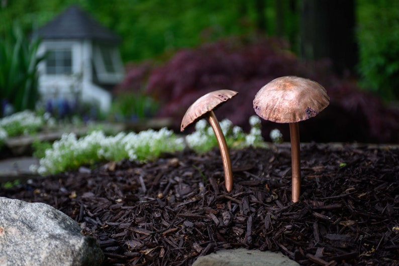 Copper Mushroom Sculpture Trio image 4