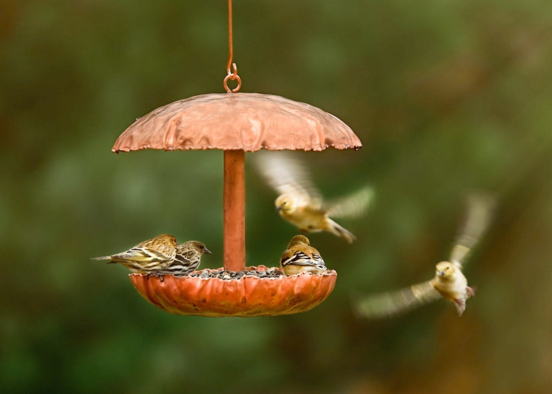 Pure Copper Bird Feeder image 2