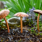 Copper Home Decor