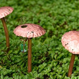Copper Rain Gauge Trio