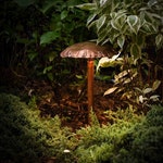 Landscape Lighting