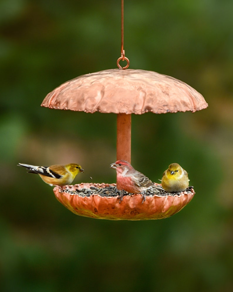 Pure Copper Bird Feeder image 1