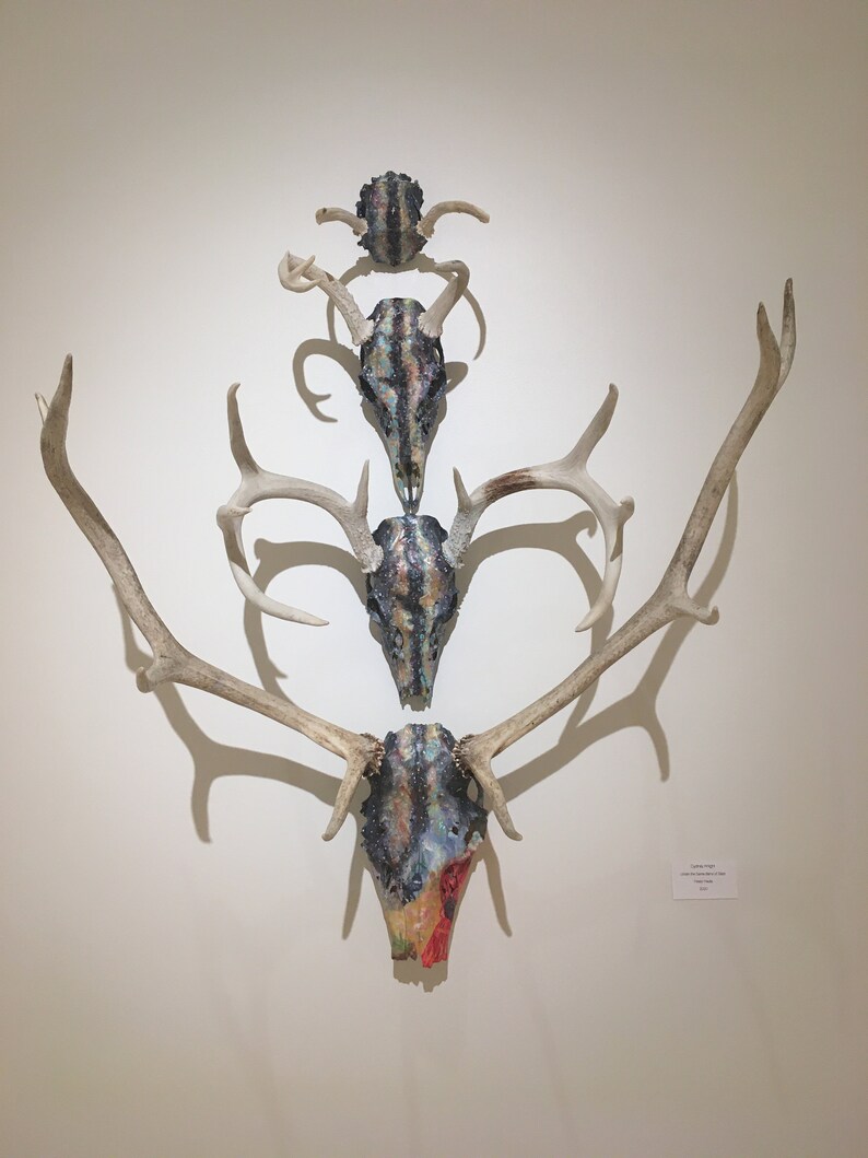 Universe acrylic painted deer elk skulls painted bones | Etsy