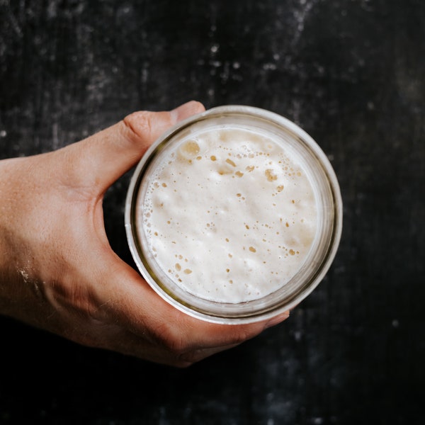 Fresh 10 Years Old Sourdough Starter