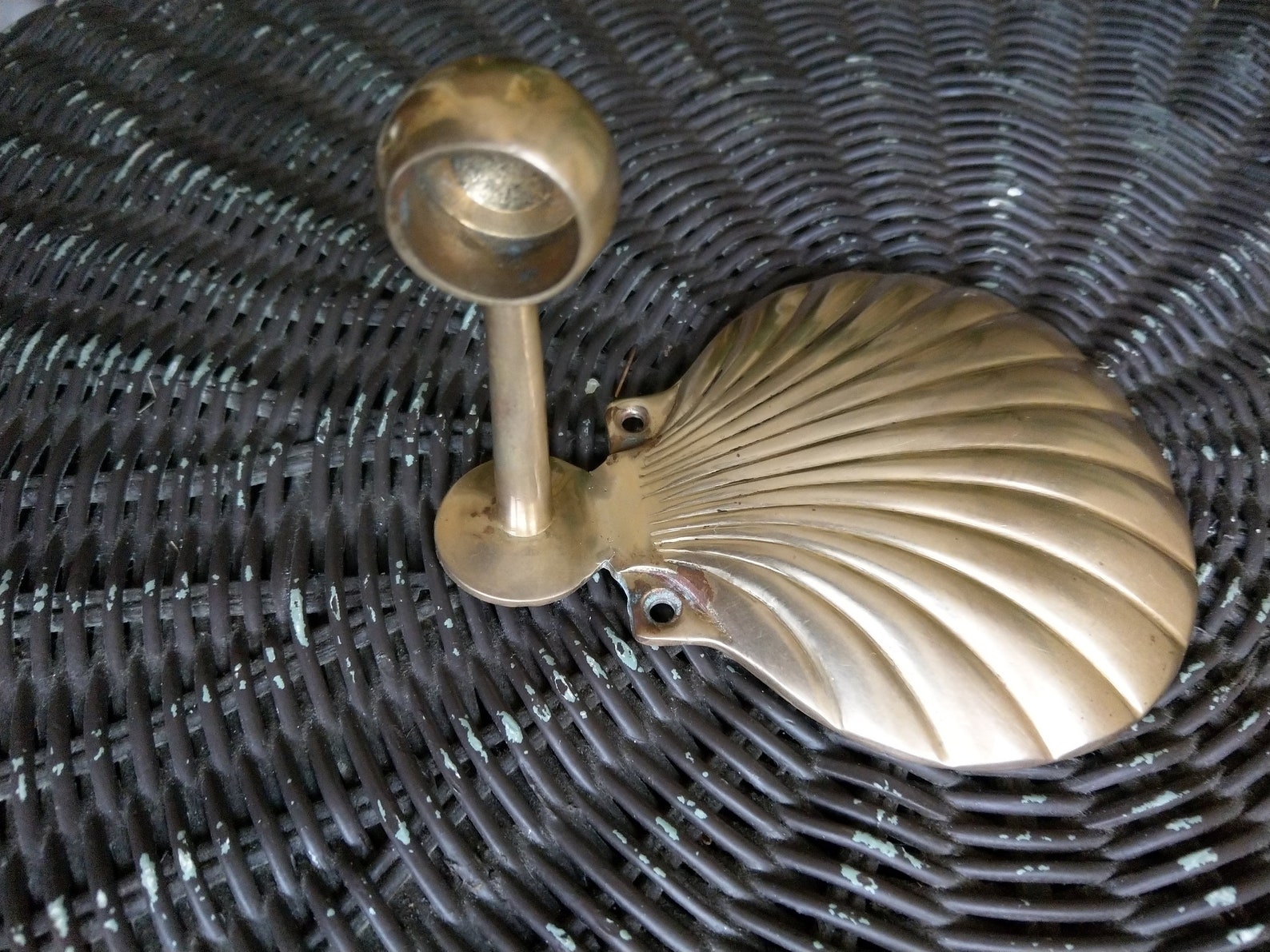 Brass Shell Wall Hook/coat Rack - Etsy