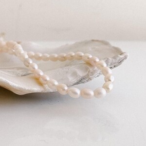 Pearl Choker Necklace, Dainty Necklace, Wedding, Bridal Jewelry, Bridesmaid Gifts, 14K Gold Filled Necklace, Beaded Natural Pearl Necklace