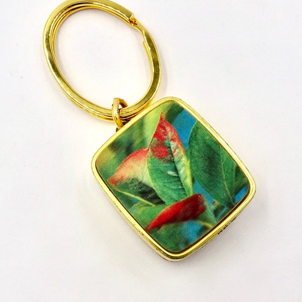 Love Story Music Box Etsy