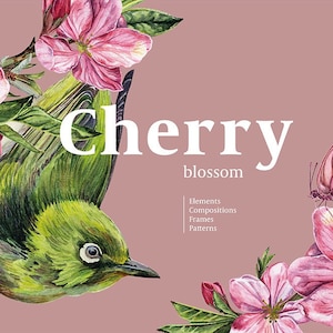 Spring set of cherry blossom flower clipart with bird, hand painted sakura illustrations for wedding invitation, floral pattern
