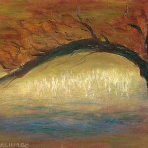 Wenskaart, New Mexico Landscape Series, "El Rito Winter Light Under the Tree"