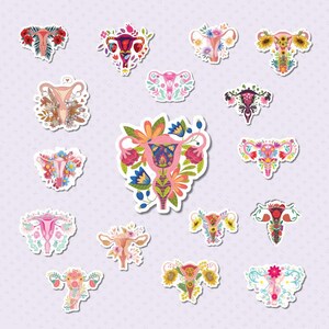 Uterus Sticker Pack – 17 Vinyl Feminist Stickers – Reproductive Rights, Medical Anatomy, Cute Womb Stickers | UV & Water Resistant Vinyl