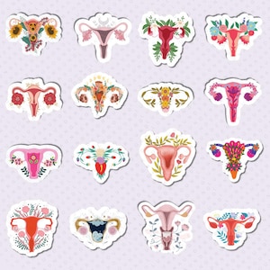 Uterus Sticker Pack – 16 Feminist Vinyl Stickers for Laptops, Journals, Water Bottles – Reproductive Rights Art | UV & Water Resistant