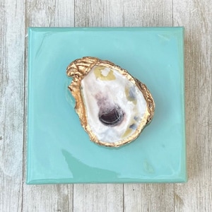 Oyster Shell Art on Turquoise Canvas, Small Oyster Artwork, Coastal Wall Art, Beach Themed Gift, Ocean Inspired Art