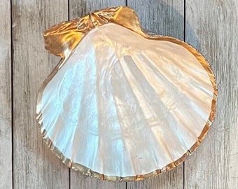 Large Scallop Shell Ring Dish, Hand Painted Shell Jewelry Holder, Coastal Trinket Dish, Shell Gift for Bridesmaids, Beach Wedding Gift