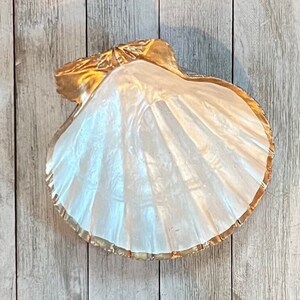 Large Scallop Shell Ring Dish, Hand Painted Shell Jewelry Holder, Coastal Trinket Dish, Shell Gift for Bridesmaids, Beach Wedding Gift