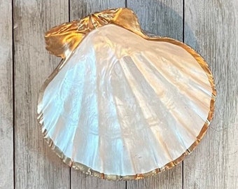 Scallop Shell Ring Dish: Pearl Interior, Gold Trim Jewelry Tray