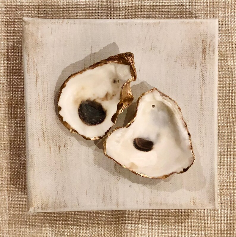 May include: Two oyster shells with gold accents on a white background. The shells are open and show the inside of the oyster.