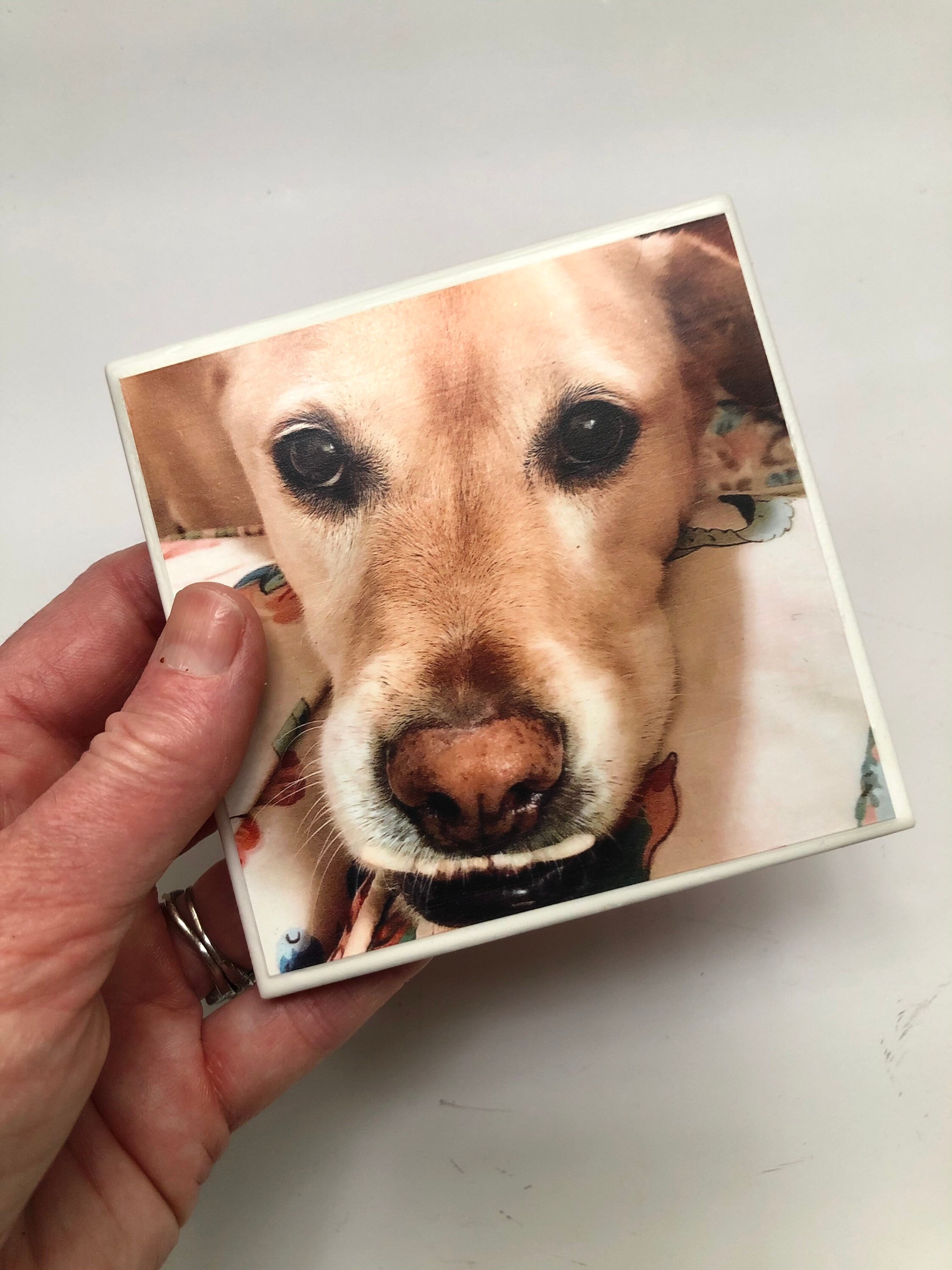 Custom Dog Coasters Ceramic 4x4 Personalized Photo Drink Etsy