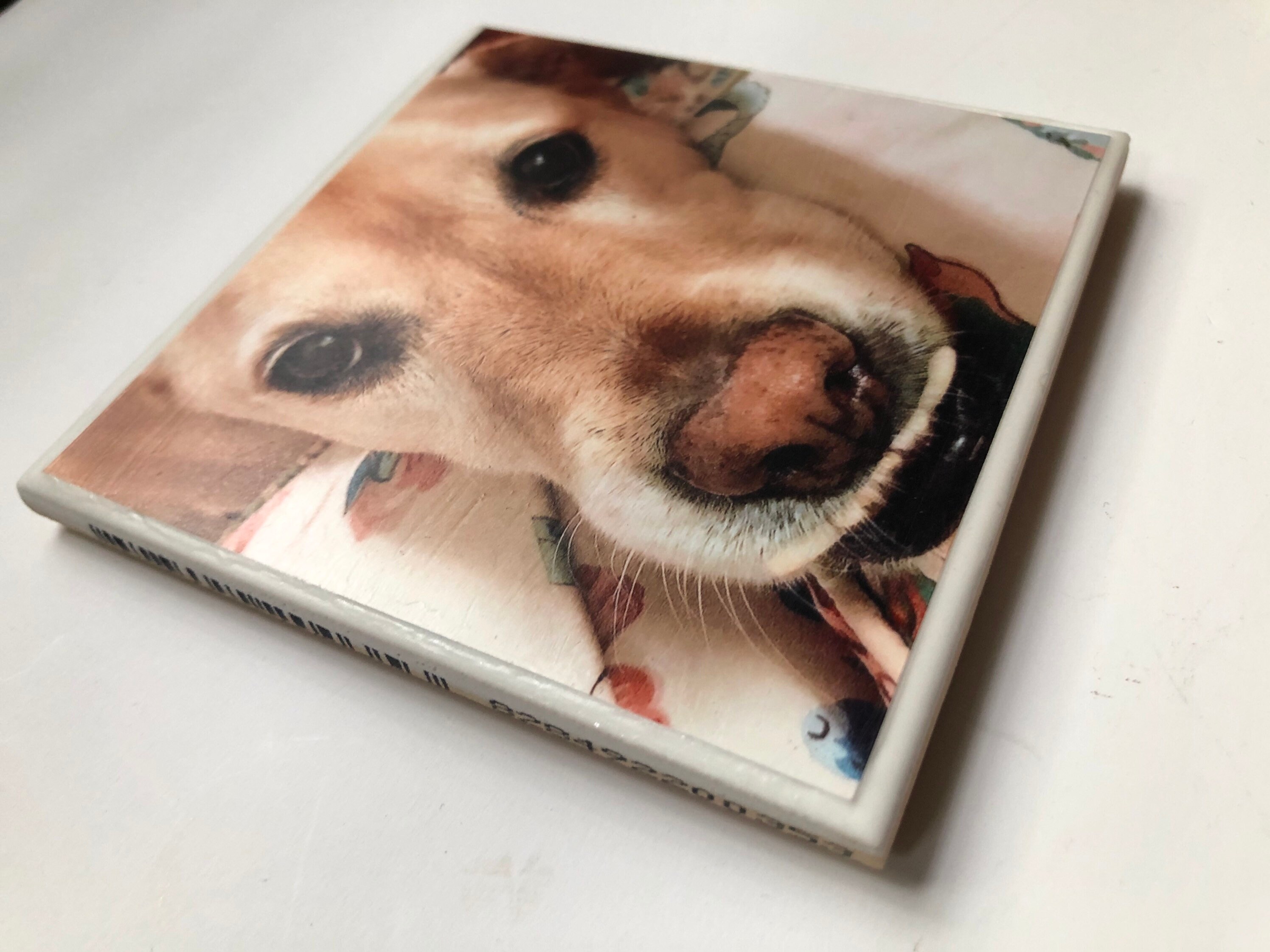 Custom Dog Coasters Ceramic 4x4 Personalized Photo Drink Etsy