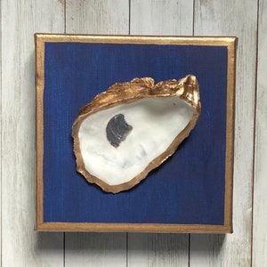 May include: A white oyster shell with a gold rim is mounted on a dark blue canvas with a gold frame.