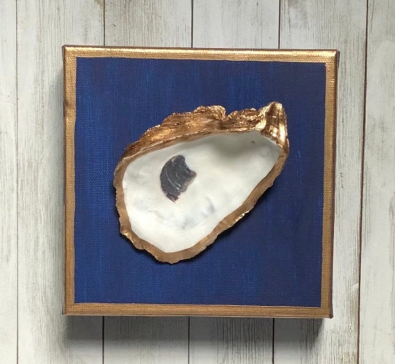 May include: A white oyster shell with a gold rim is mounted on a dark blue canvas with a gold frame.