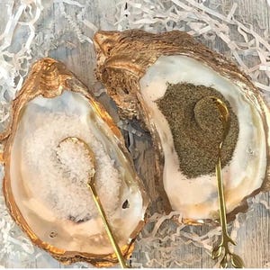 Oyster Shell Salt and Pepper Dishes: Gold Trim, Coastal Table Decor