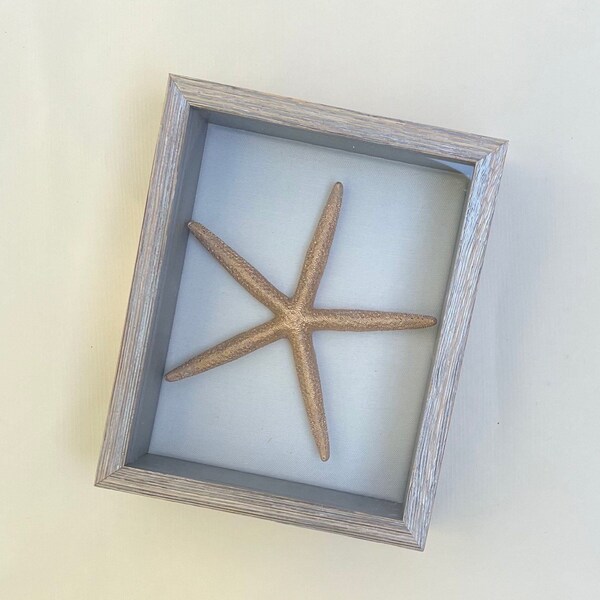 Shell Shadow Box Artwork Etsy